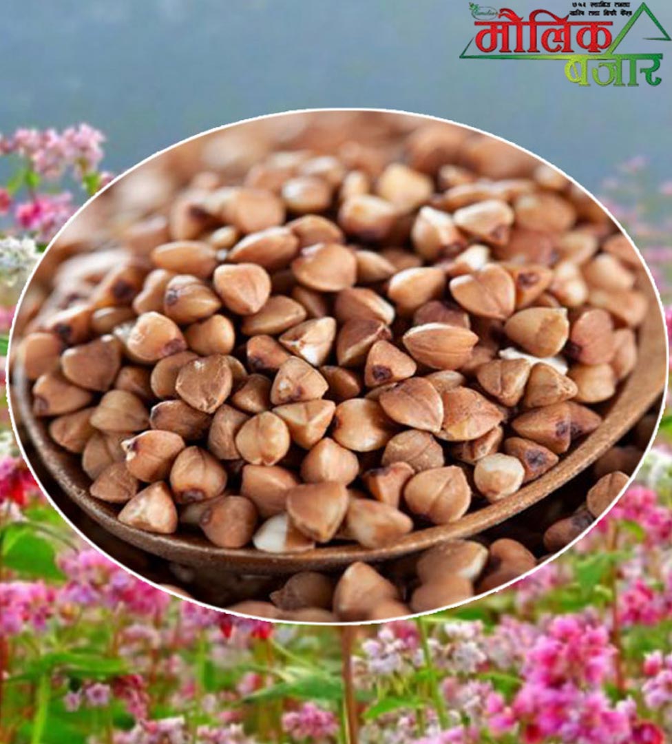  Fapar Khulla (फापर) 