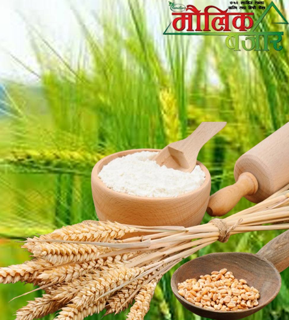  गहुँको पिठो 1000gm (Wheat Flour) 