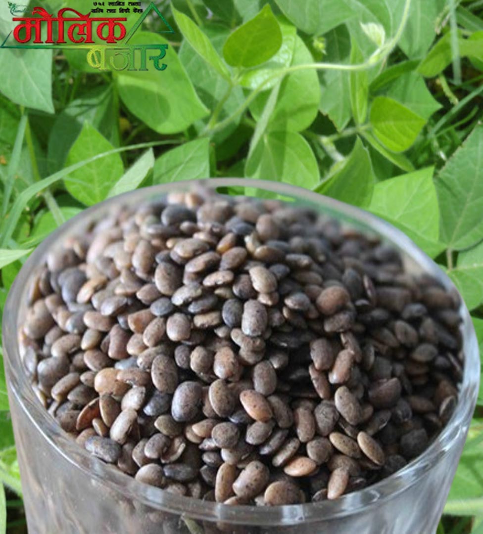  गहत दाल (Horse Gram Lentils) 