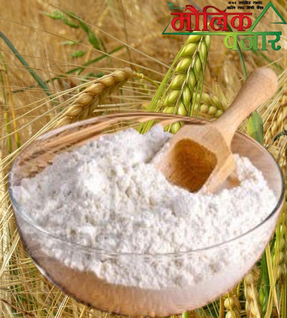  जौ को पिठो 1000gm (Barley Flour) 