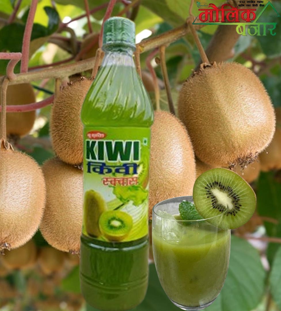  Kiwi Squace 