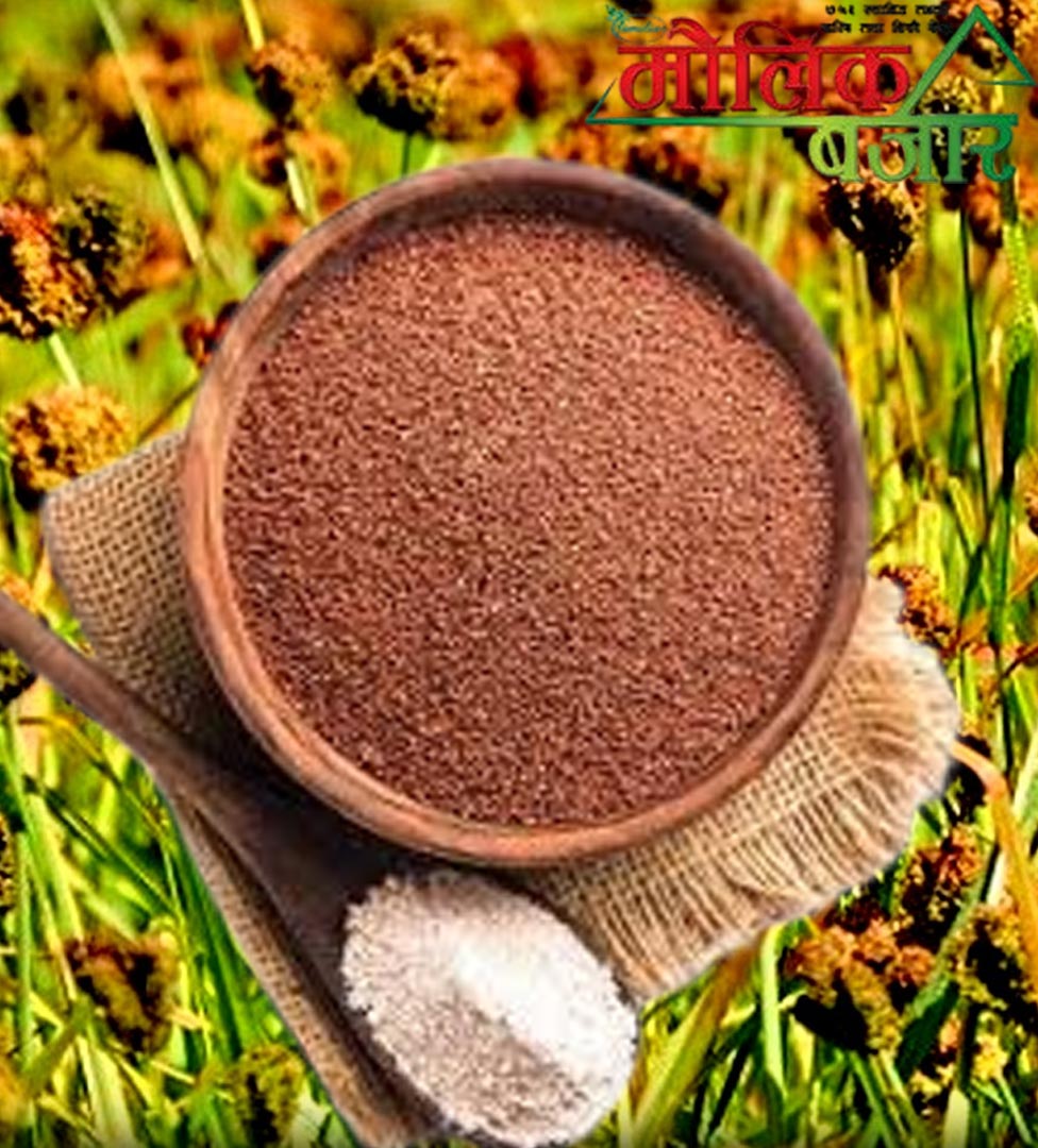  कोदोको पिठो 1000gm (Millet Flour) 