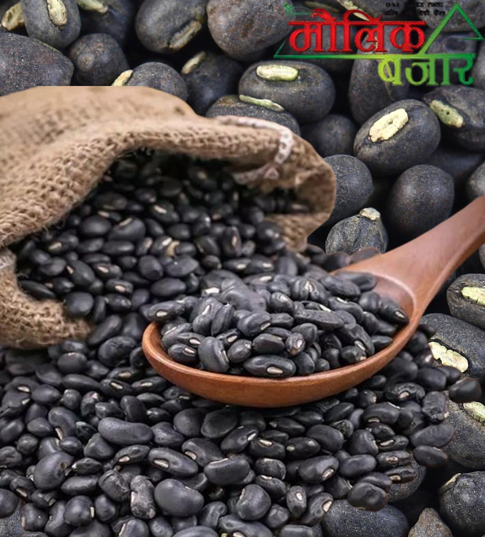  मास दाल (Black Gram Lentils) 