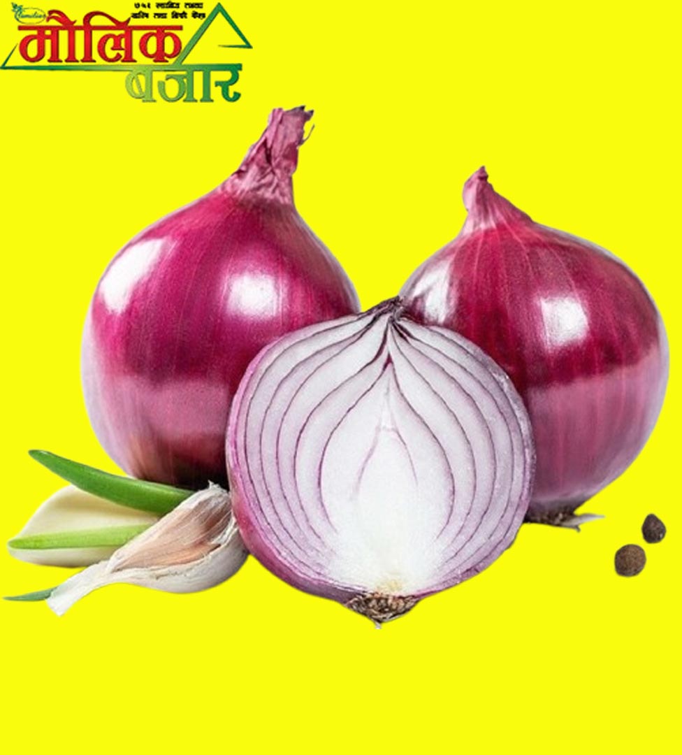  प्याज (Onion) 