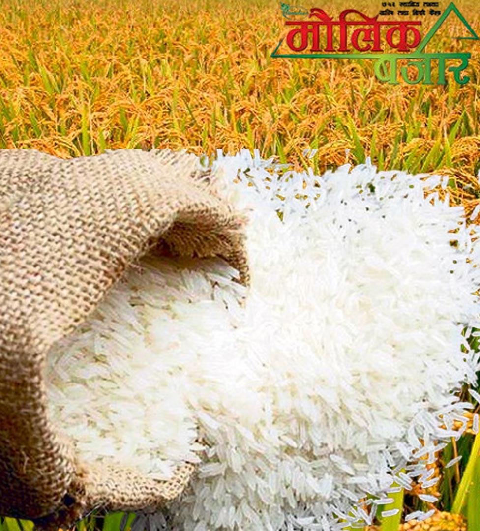  पोखरेली चामल (Pokhreli Rice) 