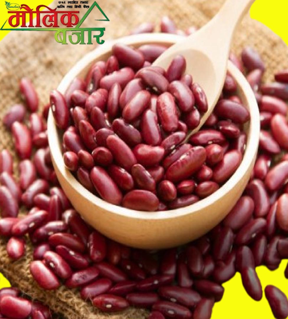  राजमा सिमि (Kidney Beans) 