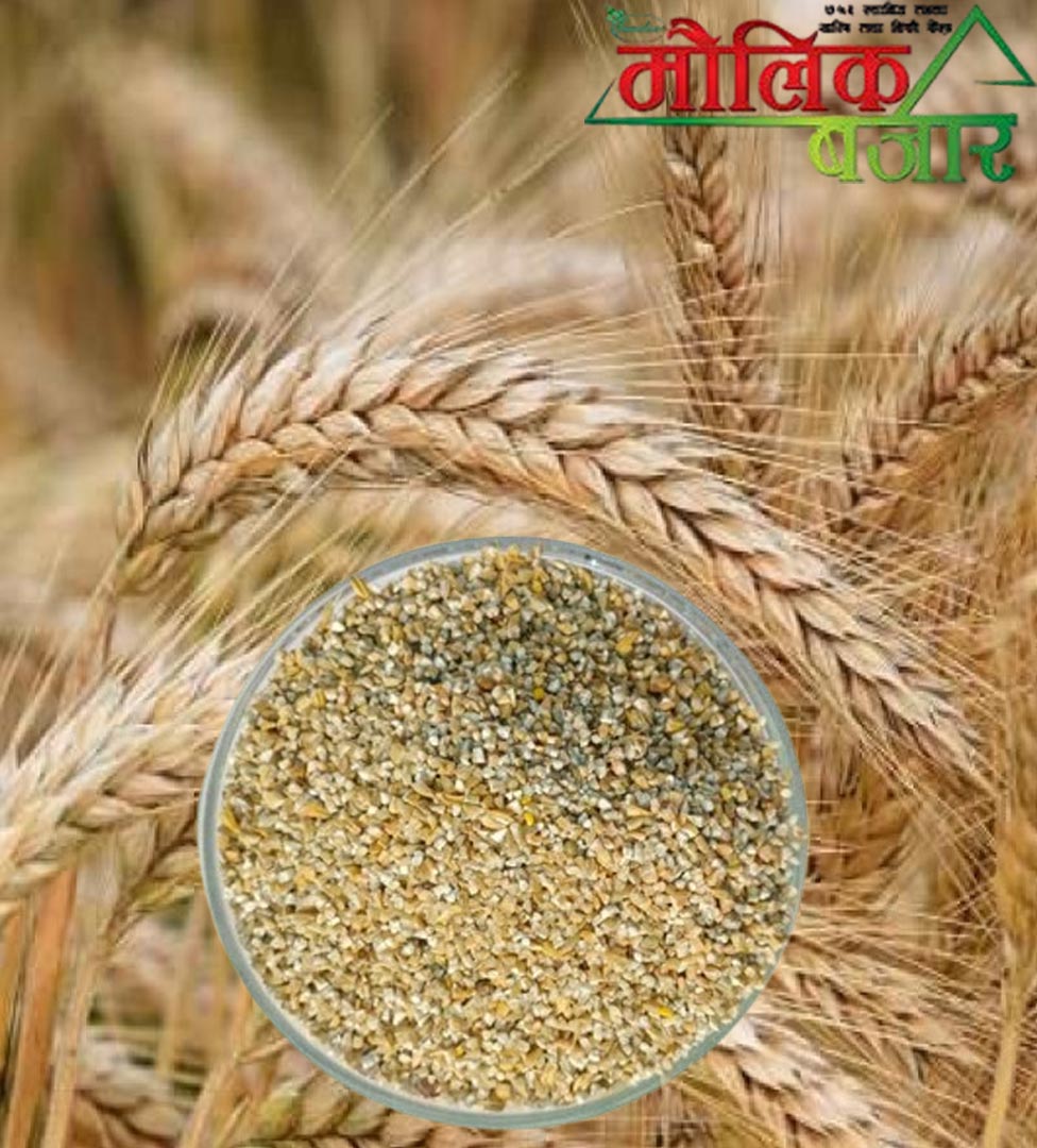  जौको च्याख्ला 1000gm (Barley Bran) 