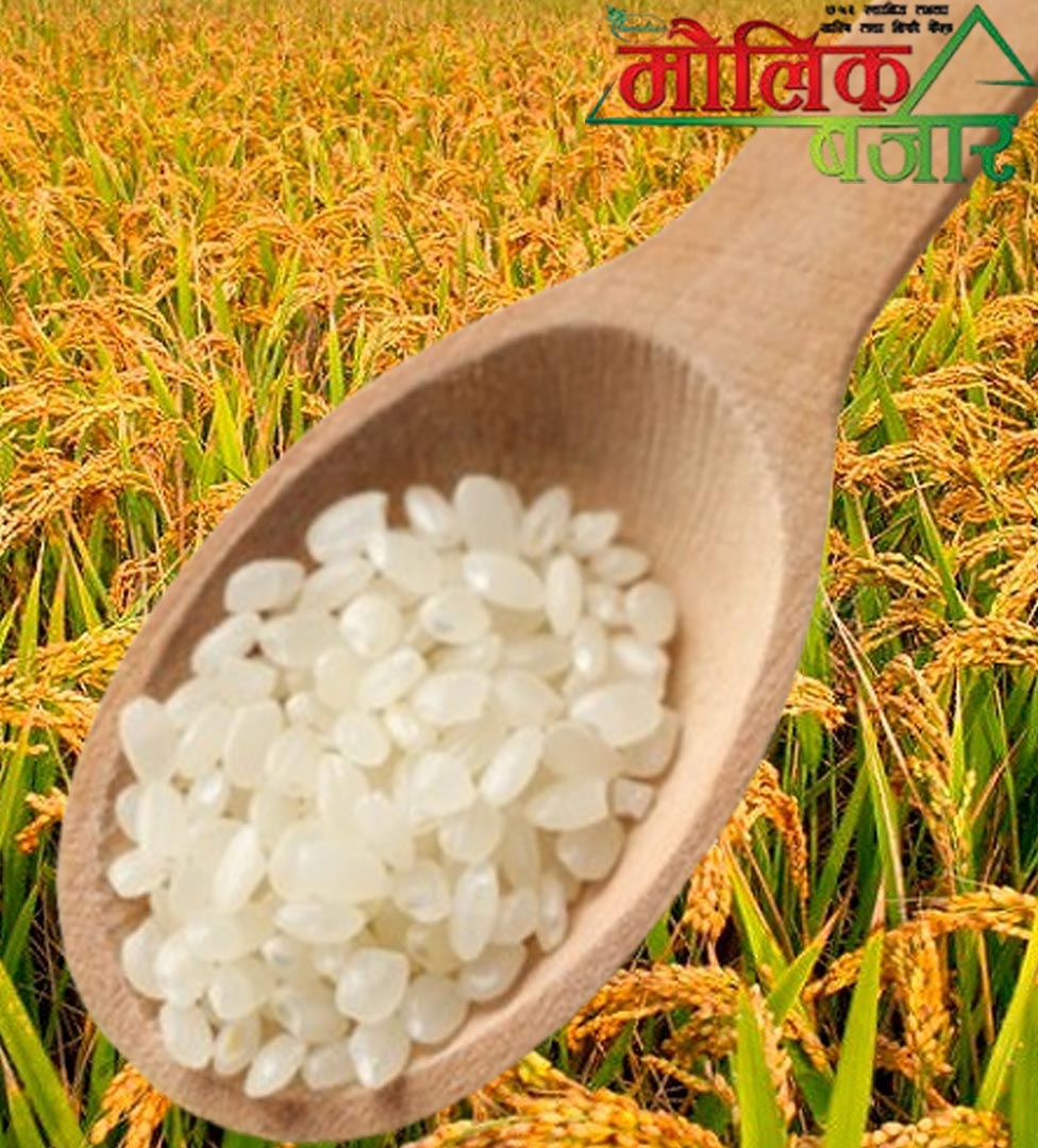  ताइचिन चामल (Taichin Rice) 